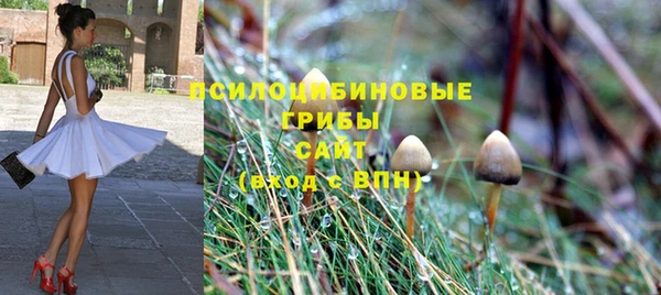 твердый Алексеевка