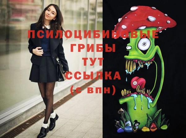 твердый Алексеевка
