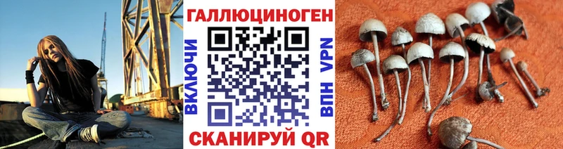 Псилоцибиновые грибы Psilocybe  darknet состав  Апшеронск 